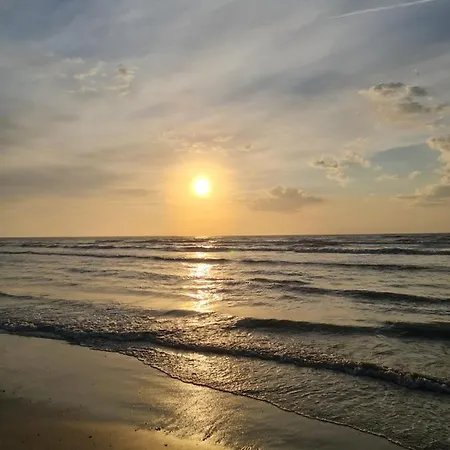 Adam And Eva Nest (adults Only) * Năvodari