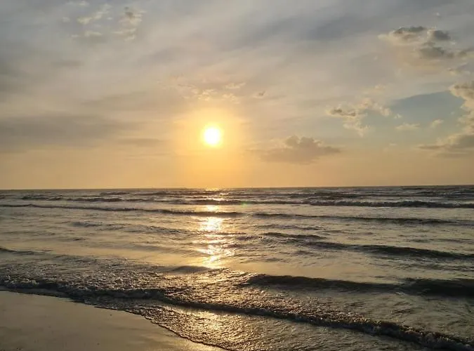 Adam And Eva Nest (adults Only) * Năvodari